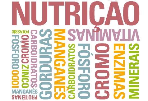 Nutrição Nutrição