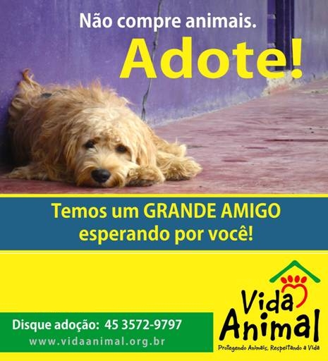 Vida Animal Vida Animal